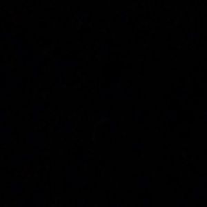 Meet your Posher, Lizbeth